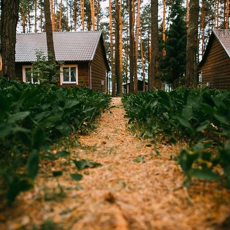 Duck Lake Villa Полацк Екстериор снимка